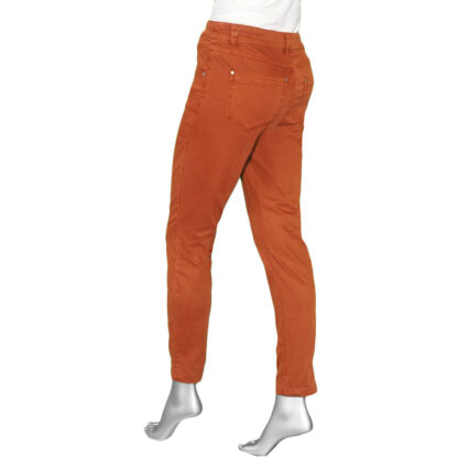 Tribal Pull On Ankle Pant-Tawny - Image 2